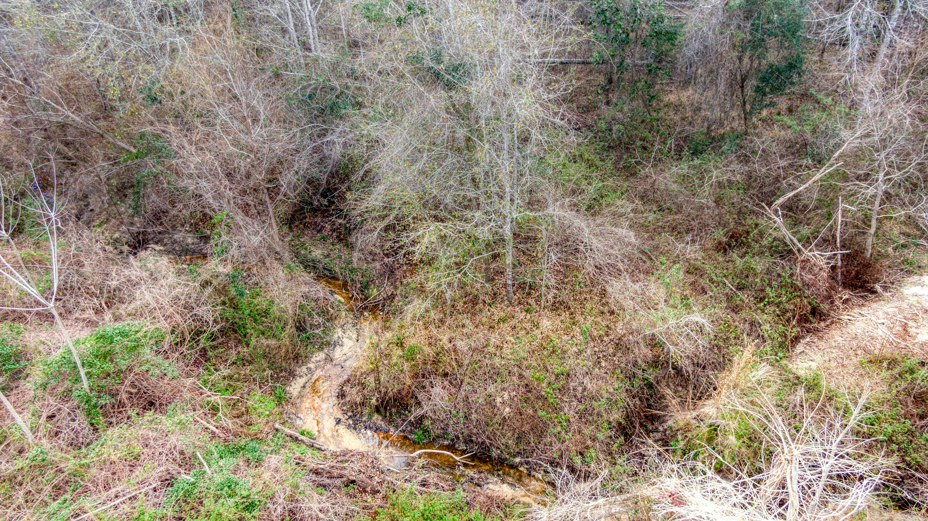 Tbd Fanning Branch Road Vernon, FL 32462 - Photo 31 of 37 8_DJI_0438_8