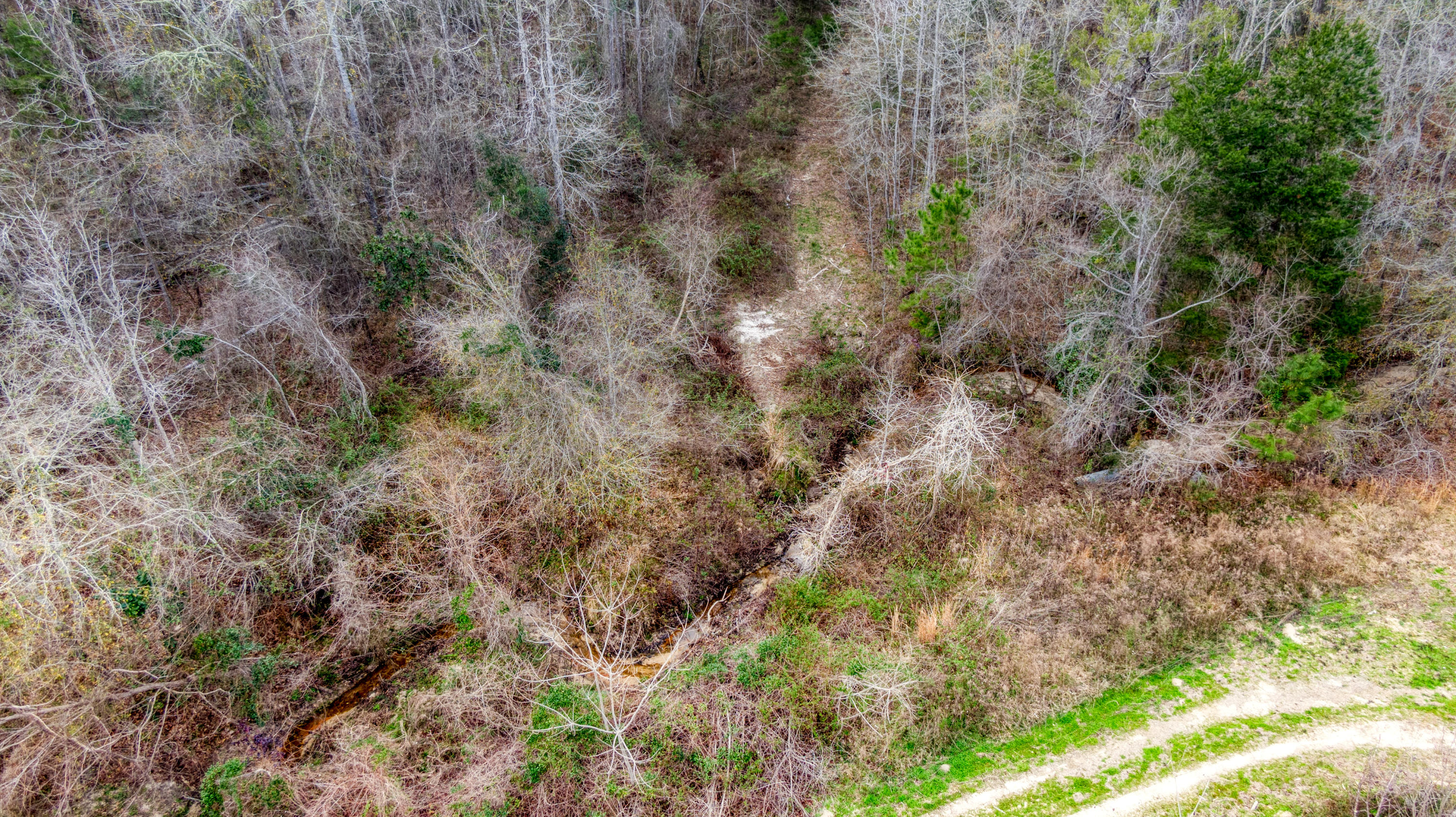 Tbd Fanning Branch Road Vernon, FL 32462 - Photo 32 of 37 9_DJI_0443_9