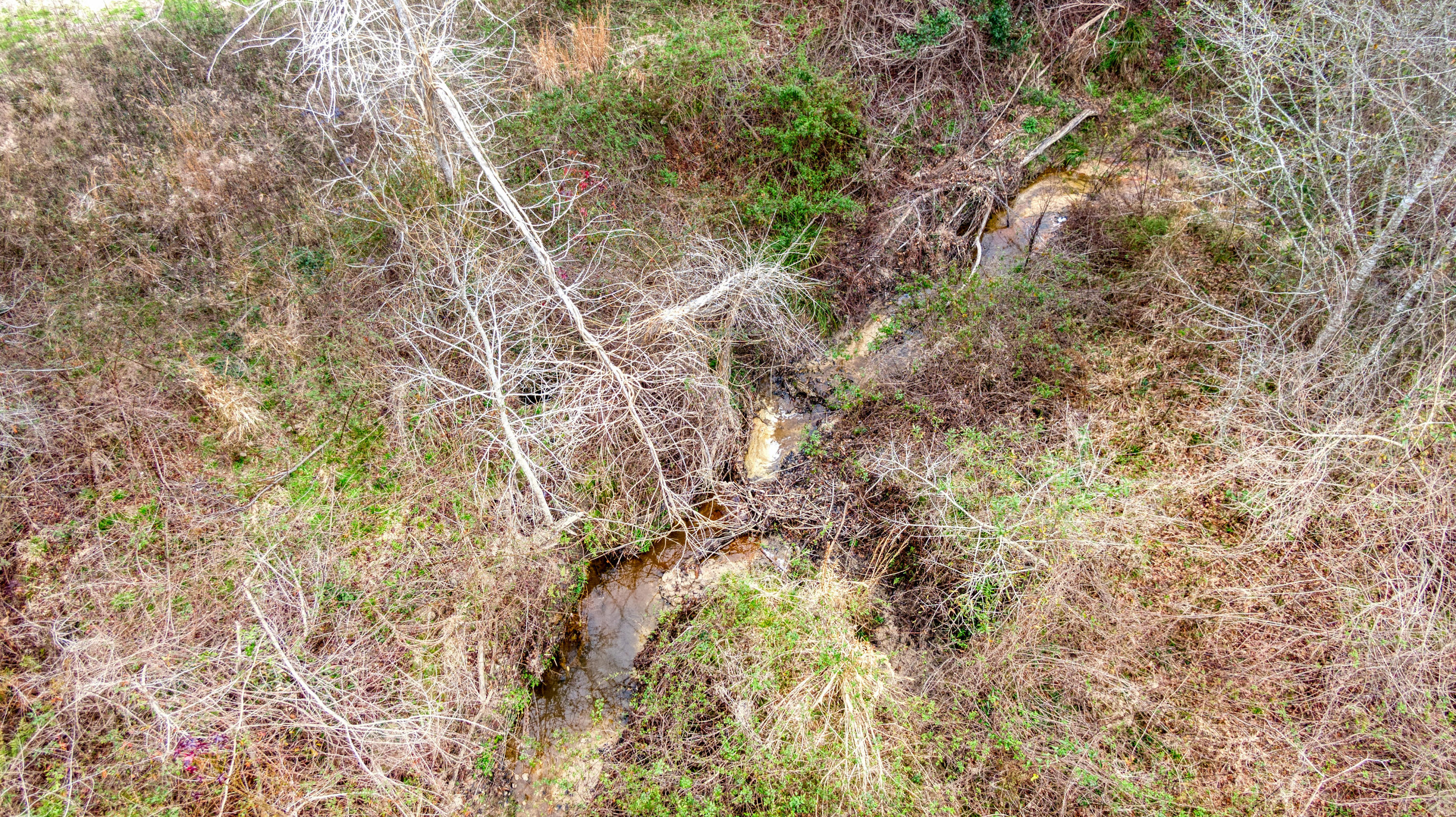 Tbd Fanning Branch Road Vernon, FL 32462 - Photo 33 of 37 10_DJI_0448_10