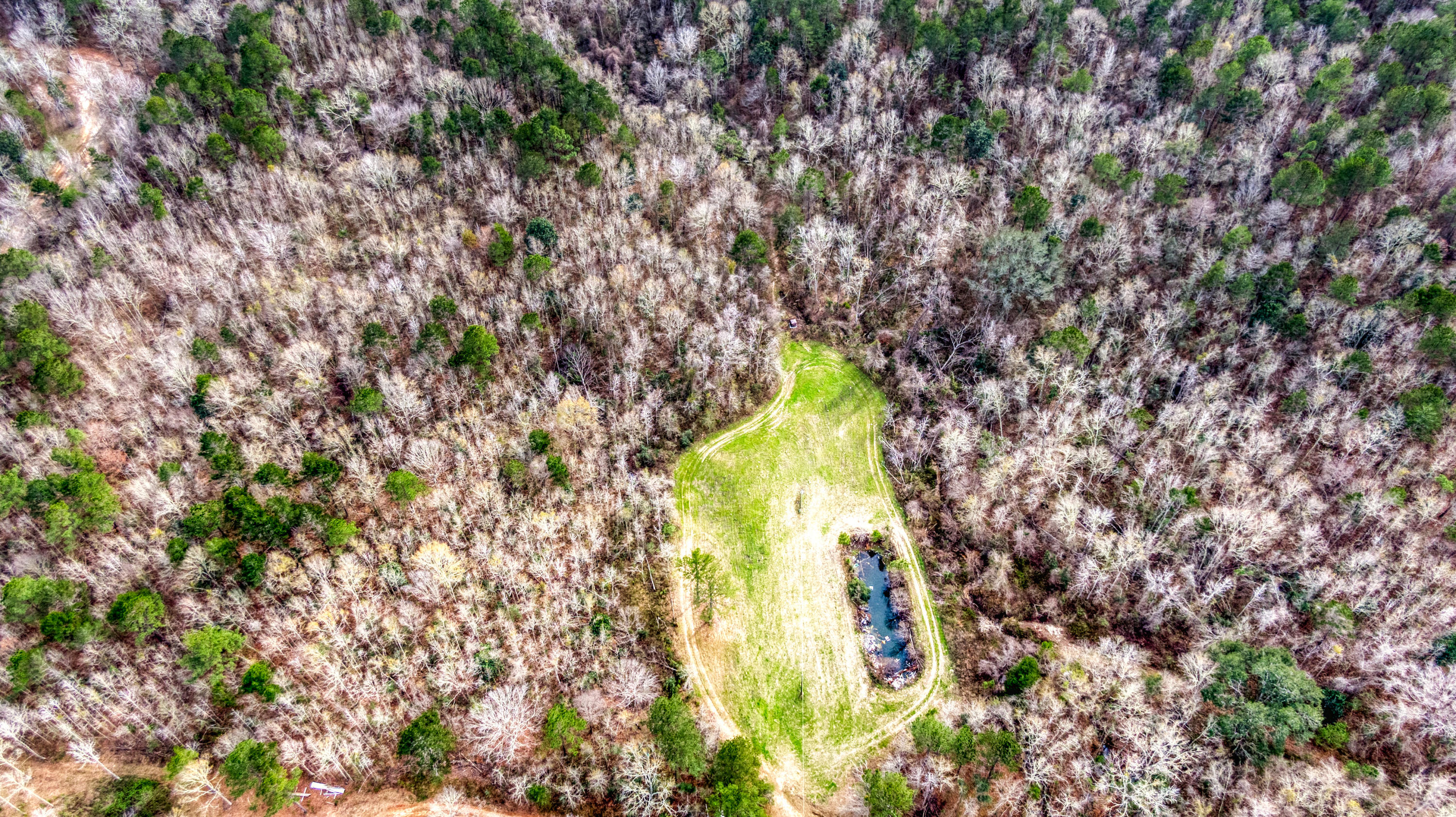 Tbd Fanning Branch Road Vernon, FL 32462 - Photo 5 of 37 3_DJI_0410_3