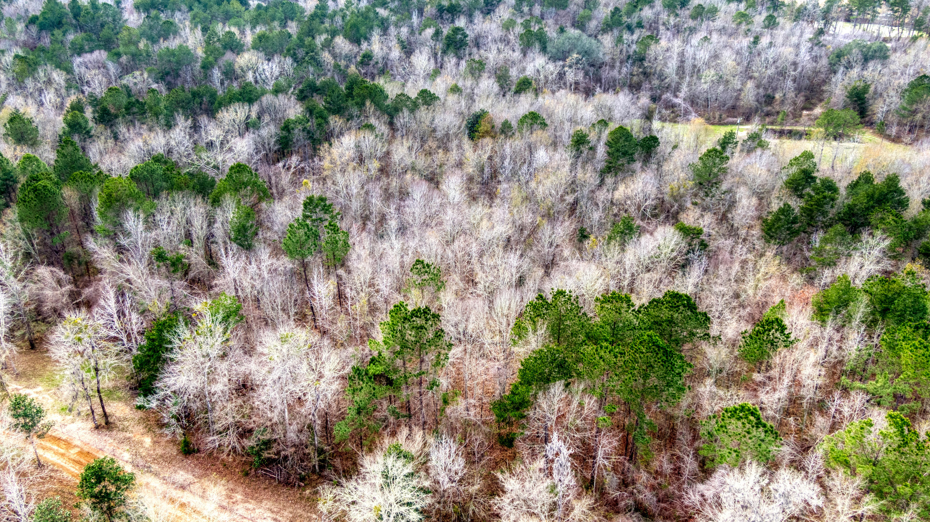 Tbd Fanning Branch Road Vernon, FL 32462 - Photo 7 of 37 5_DJI_0423_5