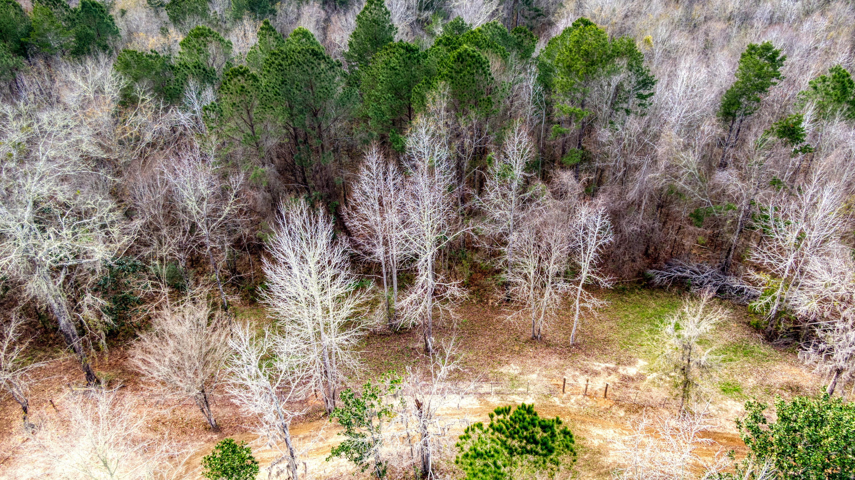 Tbd Fanning Branch Road Vernon, FL 32462 - Photo 8 of 37 6_DJI_0428_6