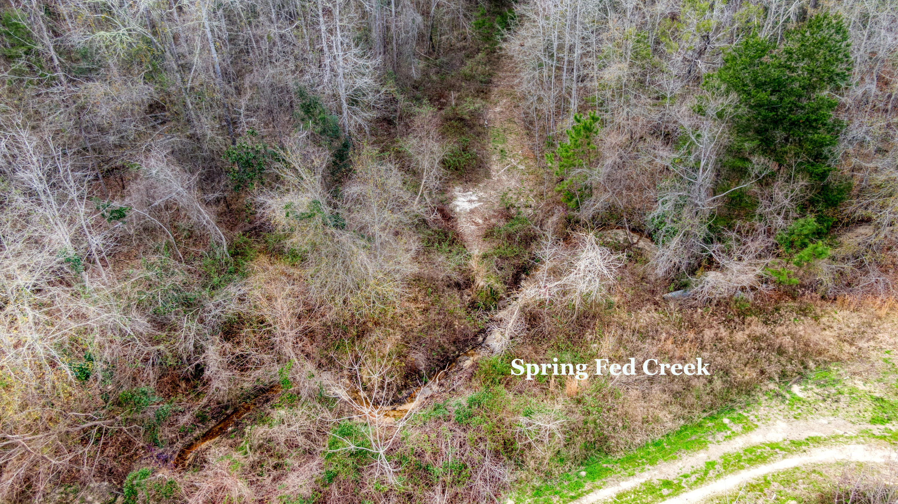 Tbd Fanning Branch Road Vernon, FL 32462 - Photo 10 of 37 9_DJI_0443_9-Edit