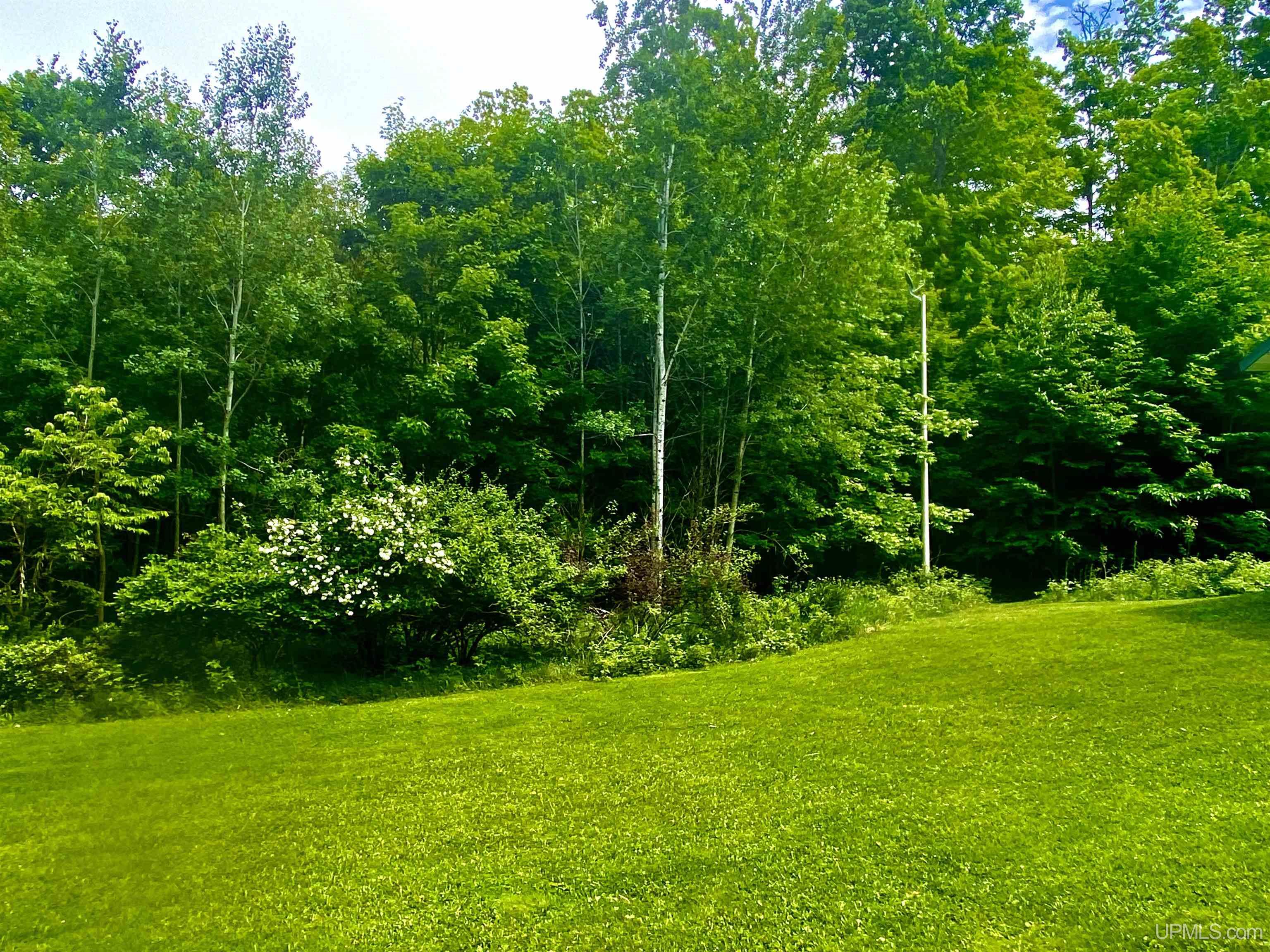 W17769 South Curtis Road Germfask, MI 49836 - Photo 4 of 33
