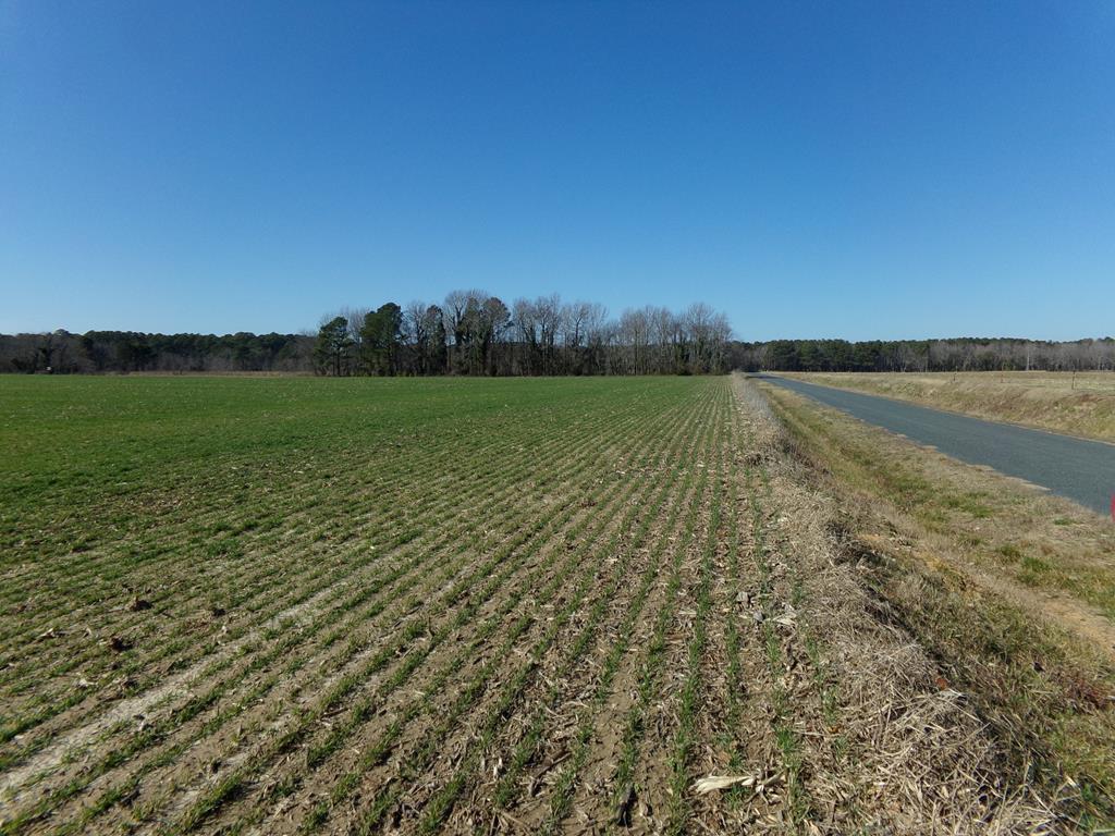 0 Hideaway Cove Road, Unit 11B Exmore, VA 23350 - Photo 1 of 1