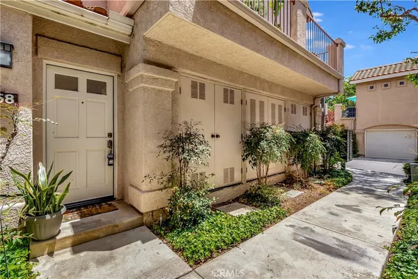 a potted plant sitting in front of a house