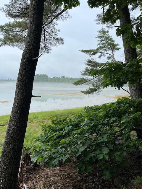 203 Garnet Head Road Pembroke, ME 04666 - Photo 10 of 92 IMG_5342