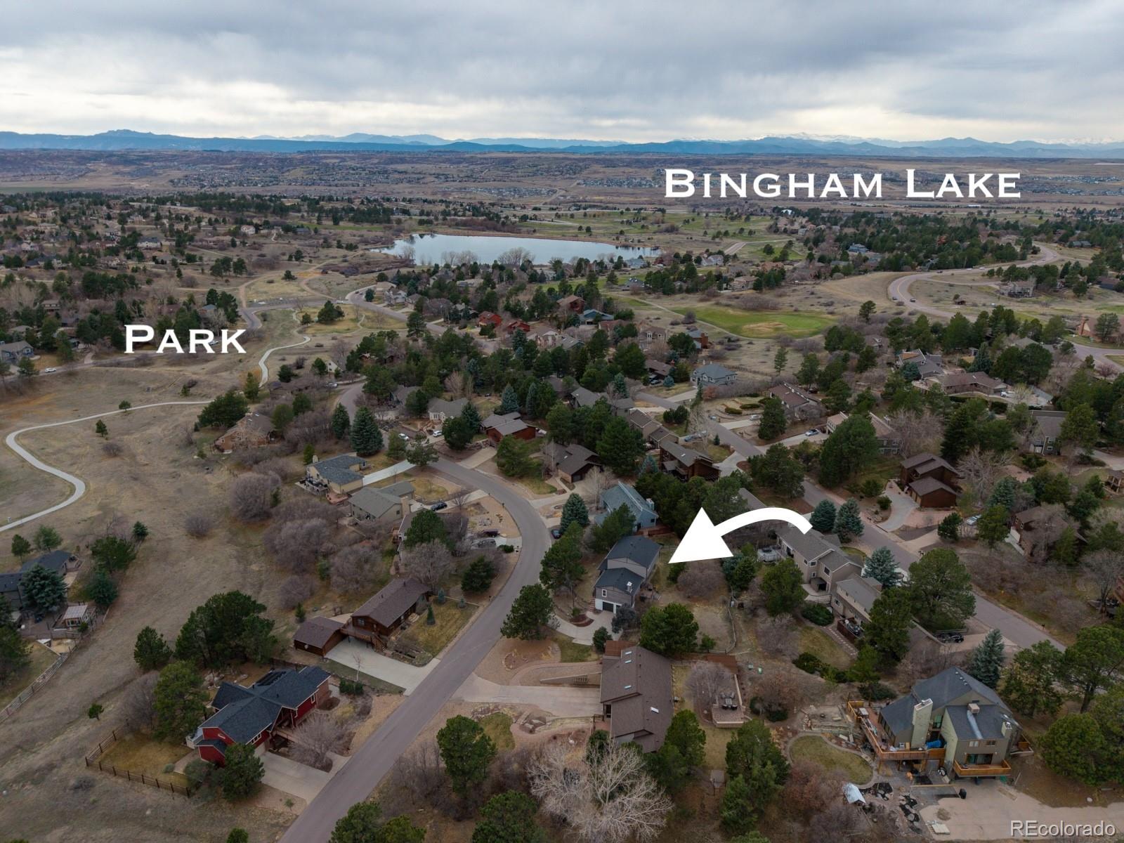 8165 Tempest Ridge Way Parker, CO 80134 - Photo 6 of 41