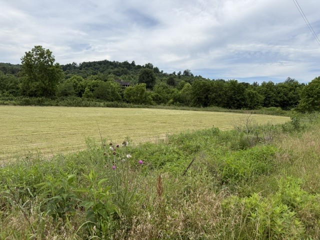 200 Max Lane Rickman, TN 38580 - Photo 50 of 54