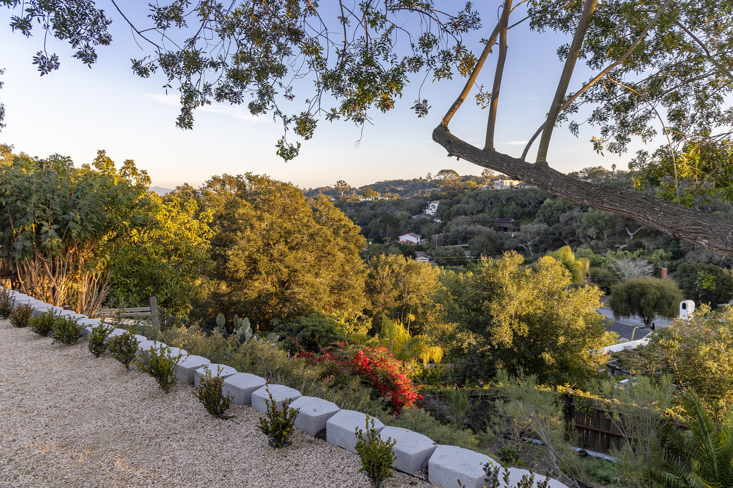 1514 Crestline Drive Santa Barbara, CA 93105 - Photo 21 of 25 a view of a tree with a yard