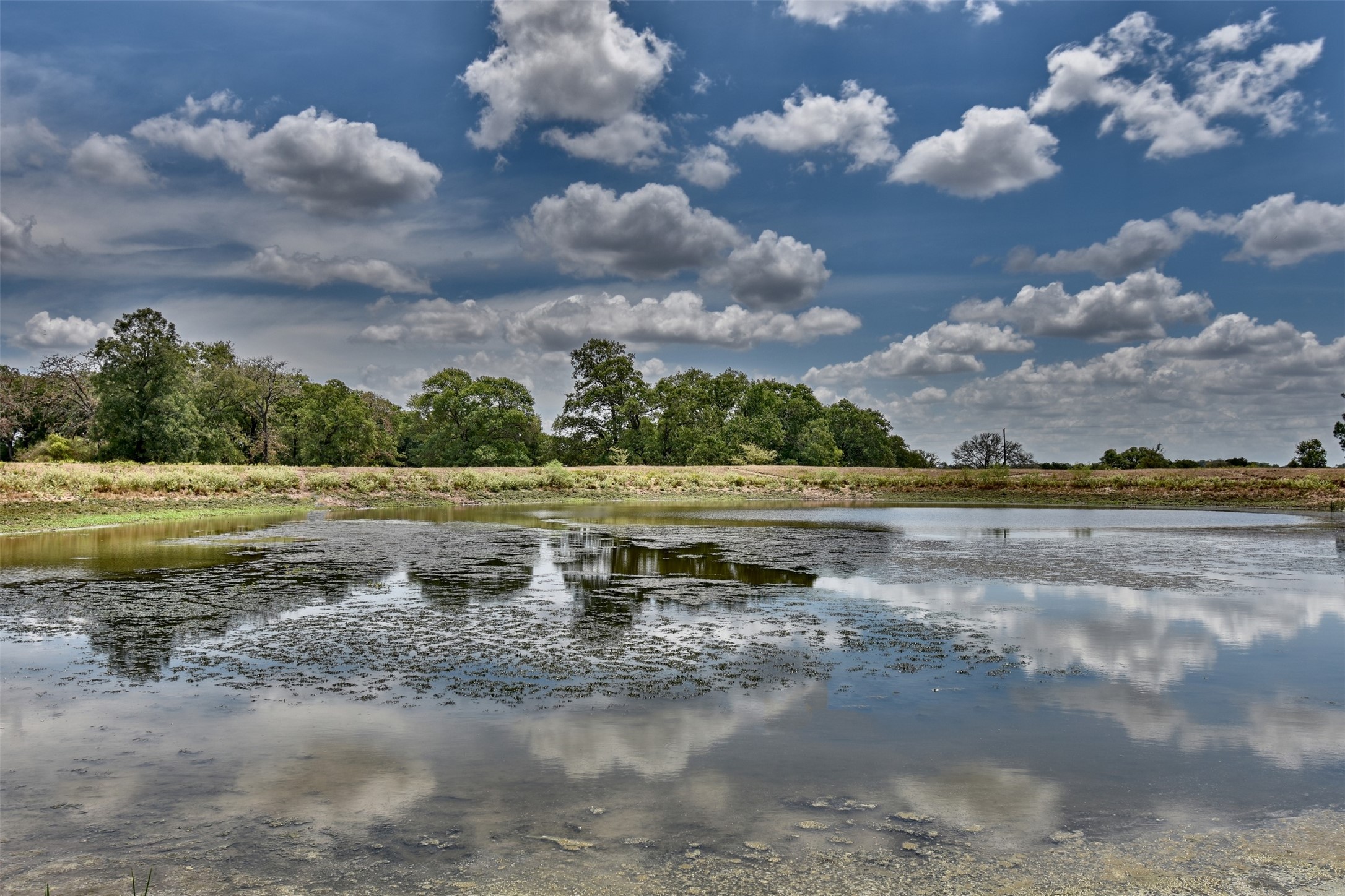 0 Mt Vernon Road Brenham, TX 77833 - Photo 10 of 12