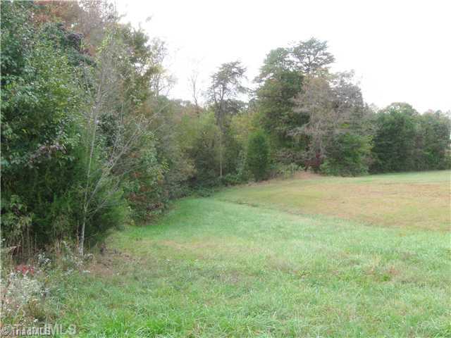 6080 Pine Hall Road Walnut Cove, NC 27052 - Photo 14 of 16 Yard/Garden.