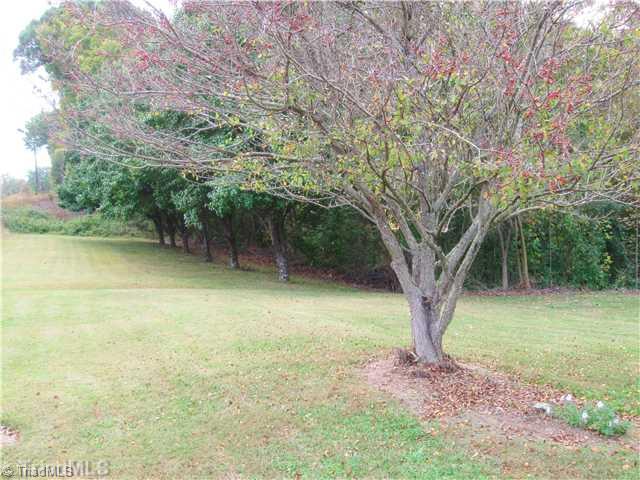 6080 Pine Hall Road Walnut Cove, NC 27052 - Photo 15 of 16 Yard/Garden.
