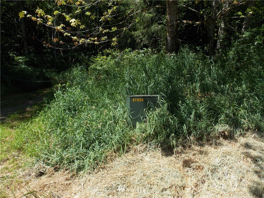 0 Short Road Morton, WA 98356 - Photo 12 of 21 Gallery Image 12