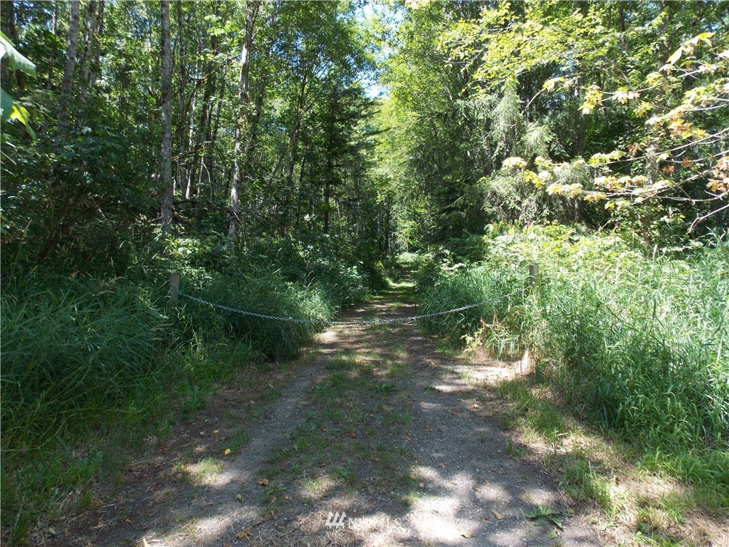 0 Short Road Morton, WA 98356 - Photo 14 of 21 Gallery Image 14