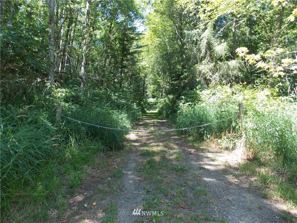 0 Short Road Morton, WA 98356 - Photo 15 of 21 Gallery Image 15