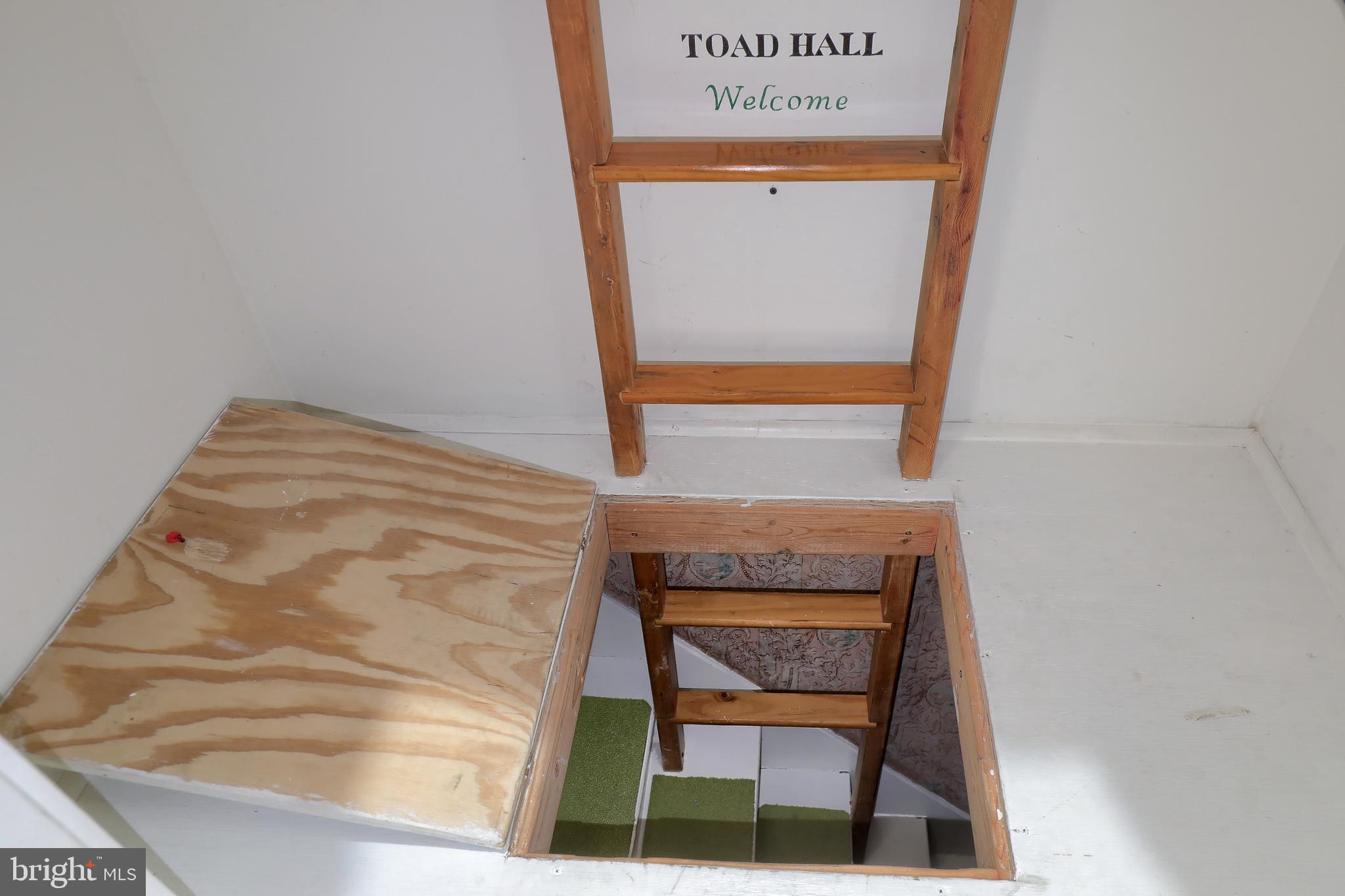 26 West Orange Street Lititz, PA 17543 - Photo 26 of 39 Secret Stairway