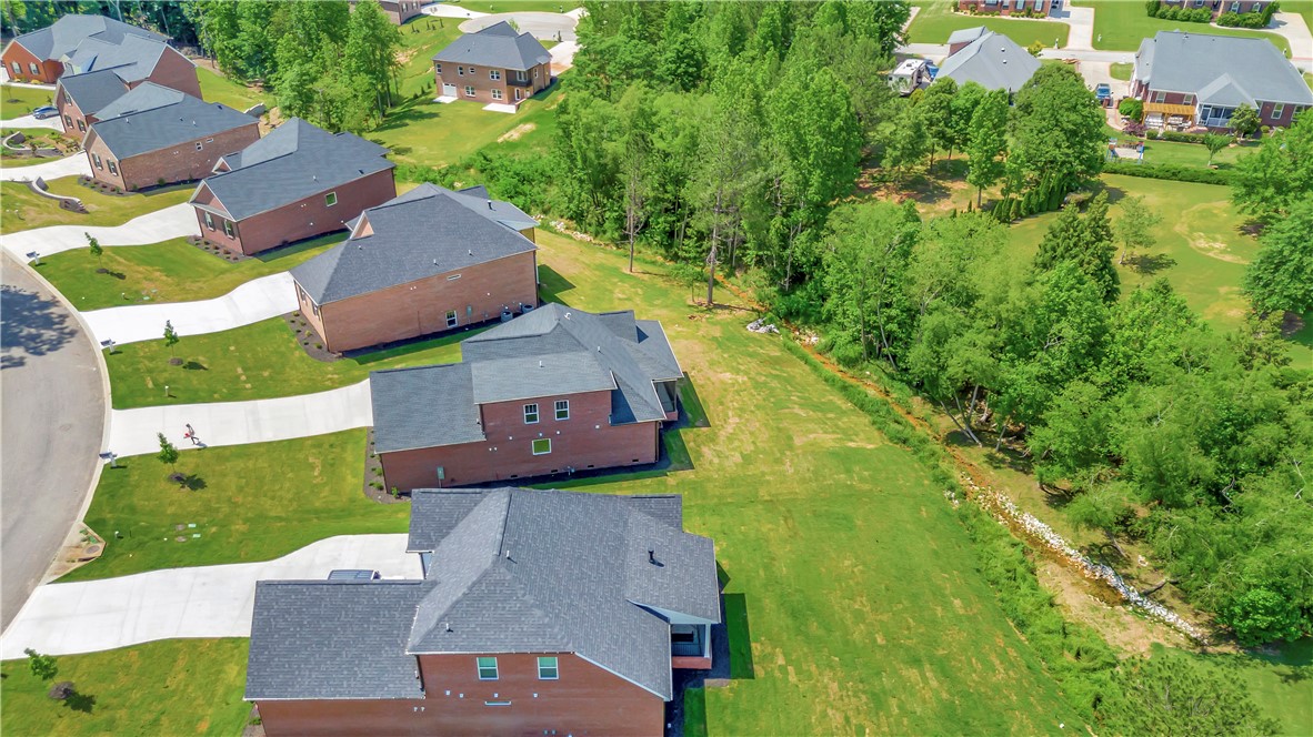 118 Bonaire Point Anderson, SC 29621 - Photo 14 of 23 This elevated view showcases new homes amidst lush greenery and winding pathways.