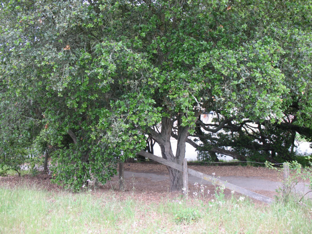 0 Prunedale North Road Prunedale, CA 93907 - Photo 1 of 1 Gallery Image 1