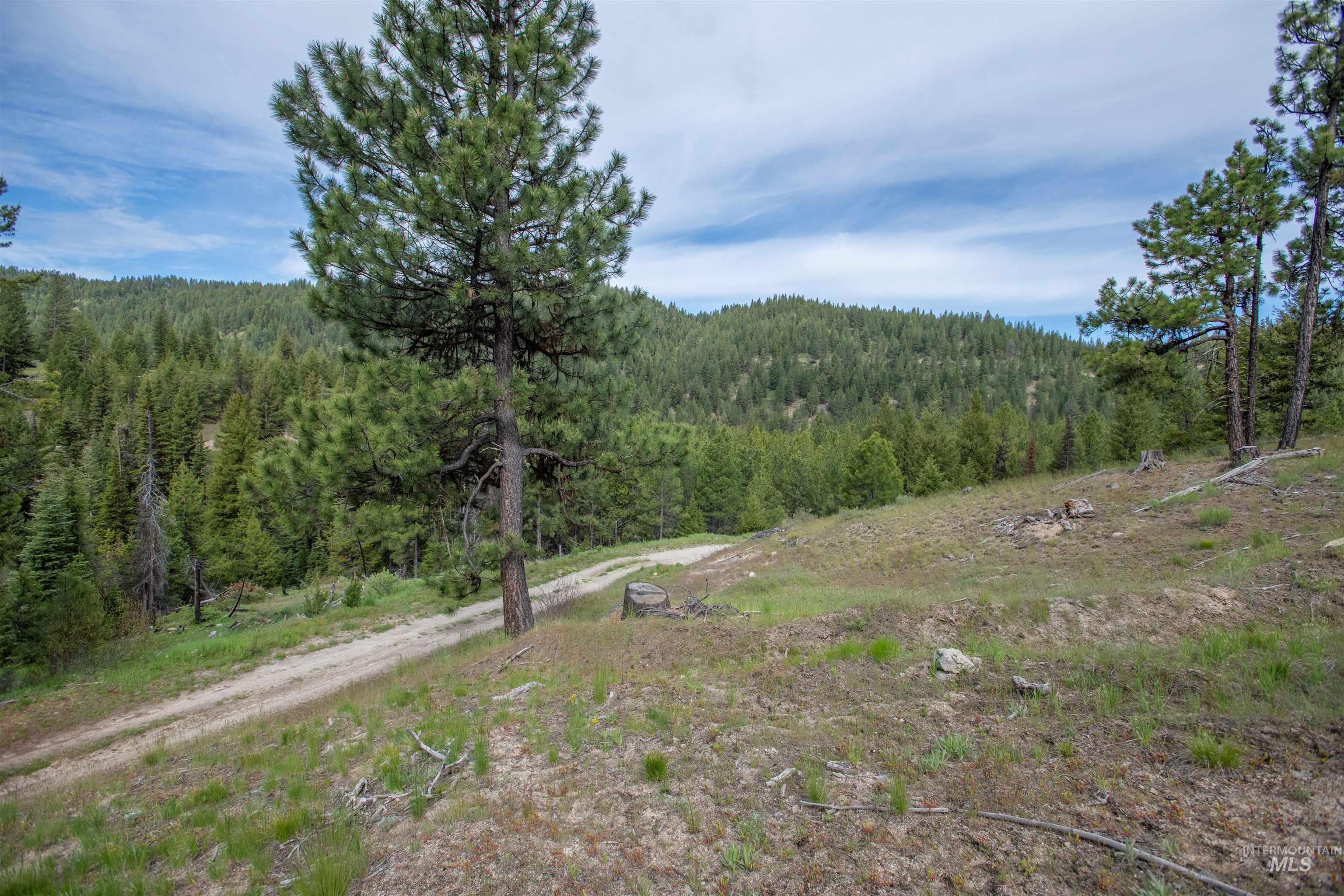 34 Clear Creek Road Cascade, ID 83611 - Photo 3 of 10