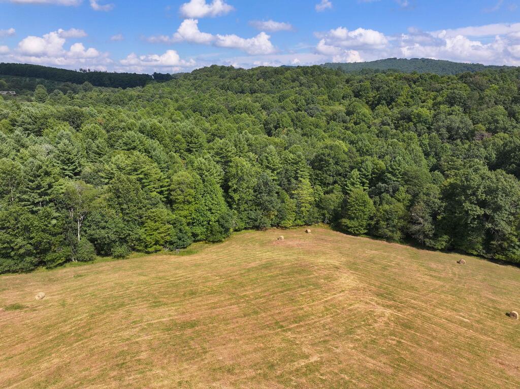 0 Northwest Shady Grove Road Willis, VA 24380 - Photo 16 of 25 Gallery Image 16