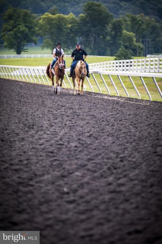 a view of a sign board