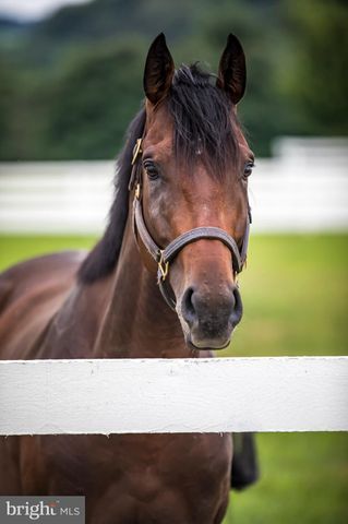 a view of a swimming pool with a lawn chairs under an umbrella