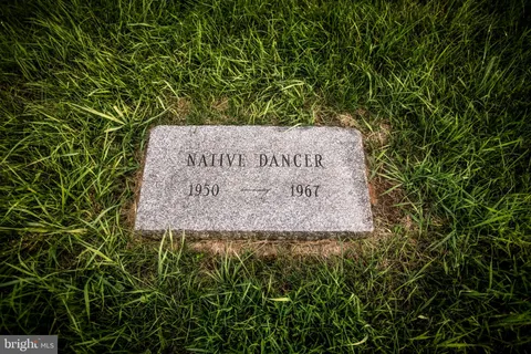 a view of a swimming pool with a yard