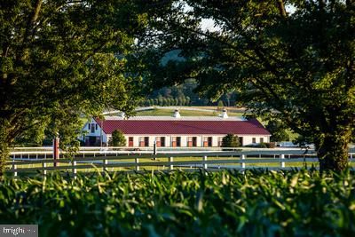 a living room with furniture fireplace and a window