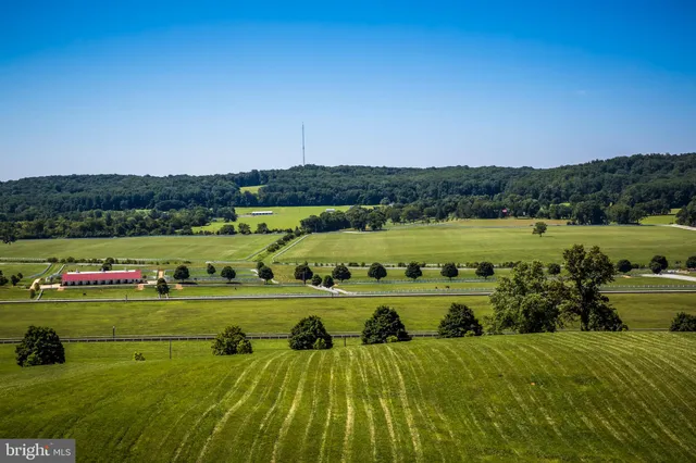 a view of two couches in front of house