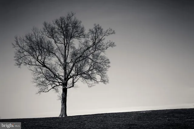 $18,500,000 | 3366 Belmont Avenue, Glyndon, MD 21136