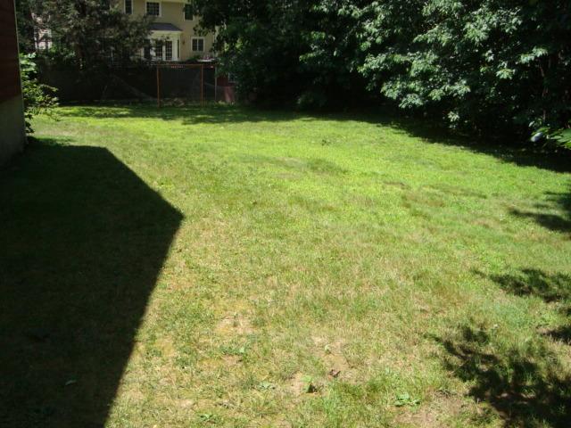 Undisclosed Address New Canaan, CT 06840 - Photo 6 of 14 a view of yard with green space