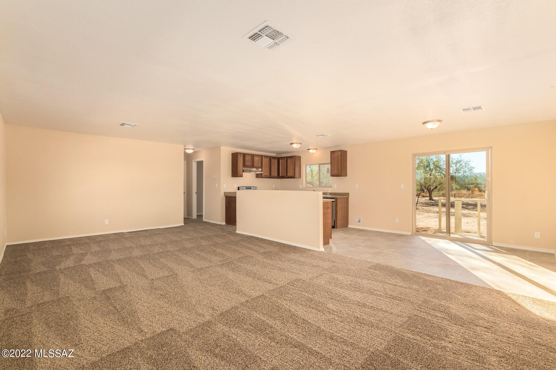 9271 South Fillmore Road Tucson, AZ 85736 - Photo 5 of 25 Gallery Image 5