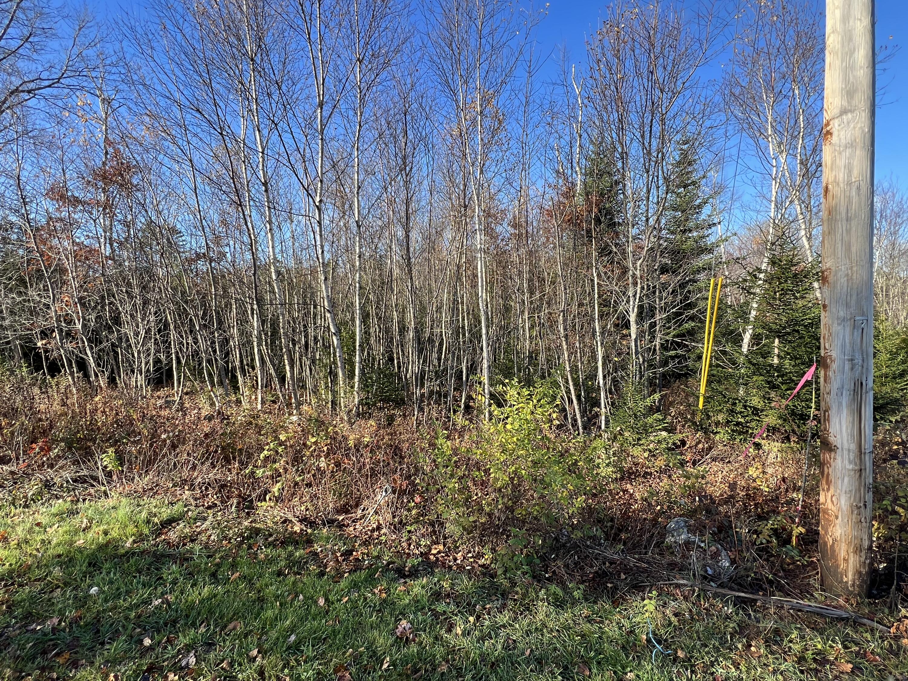 71 Cushing Farm Road Bristol, ME 04554 - Photo 3 of 9 360650C4-12D2-41BA-A832-2DA744CF20AB
