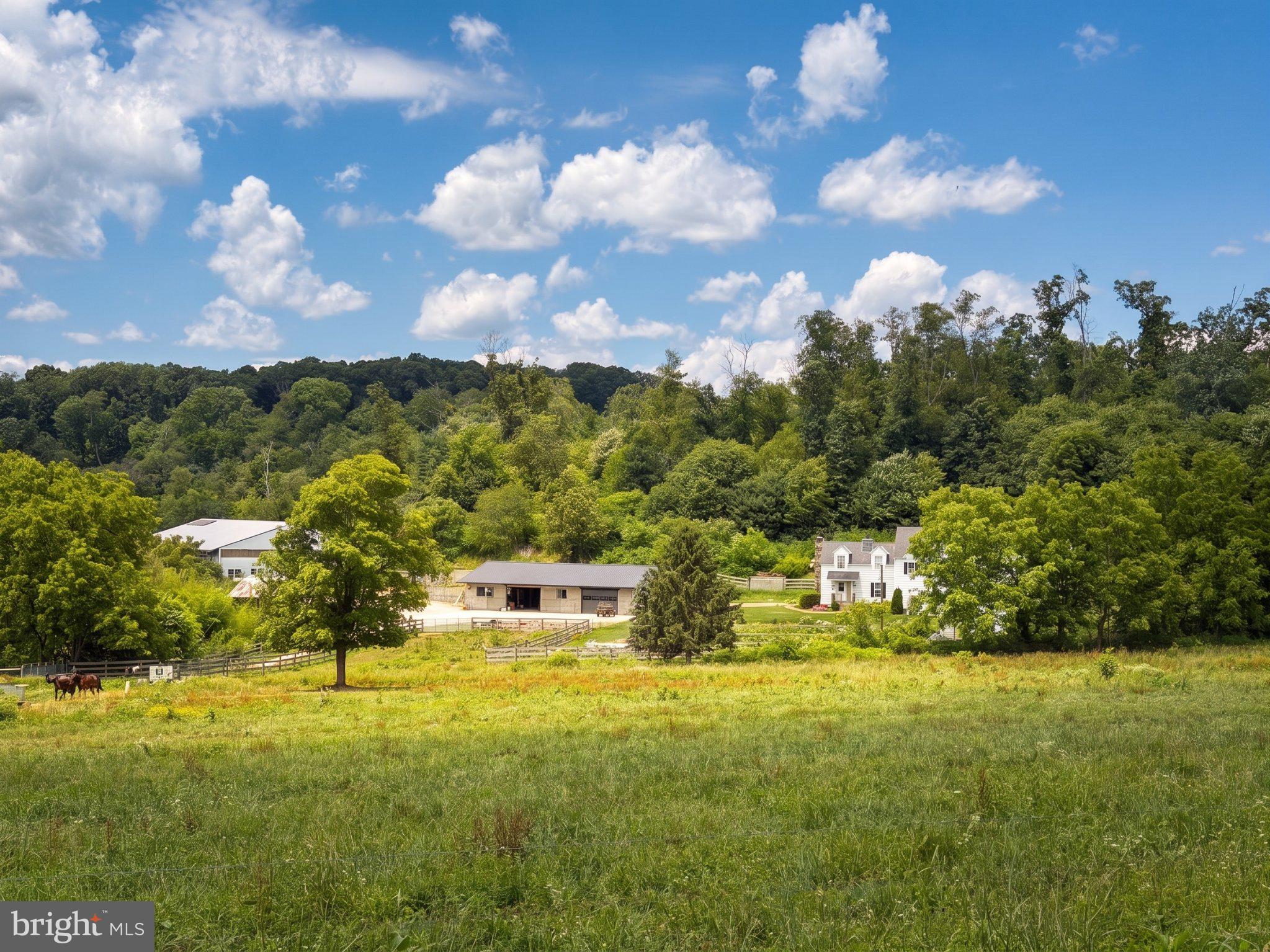12558 Raub Road Felton, PA 17322 - Photo 3 of 6