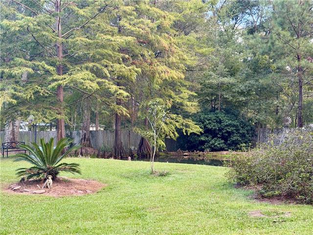 52282 Danna Road Independence, LA 70443 - Photo 3 of 27 Gallery Image 3