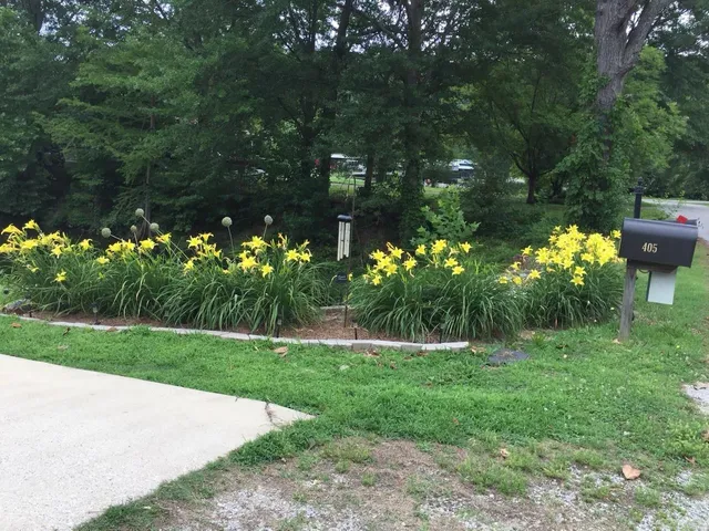 $575,000 | 405 Creekside Drive, Cherokee, AL 35616