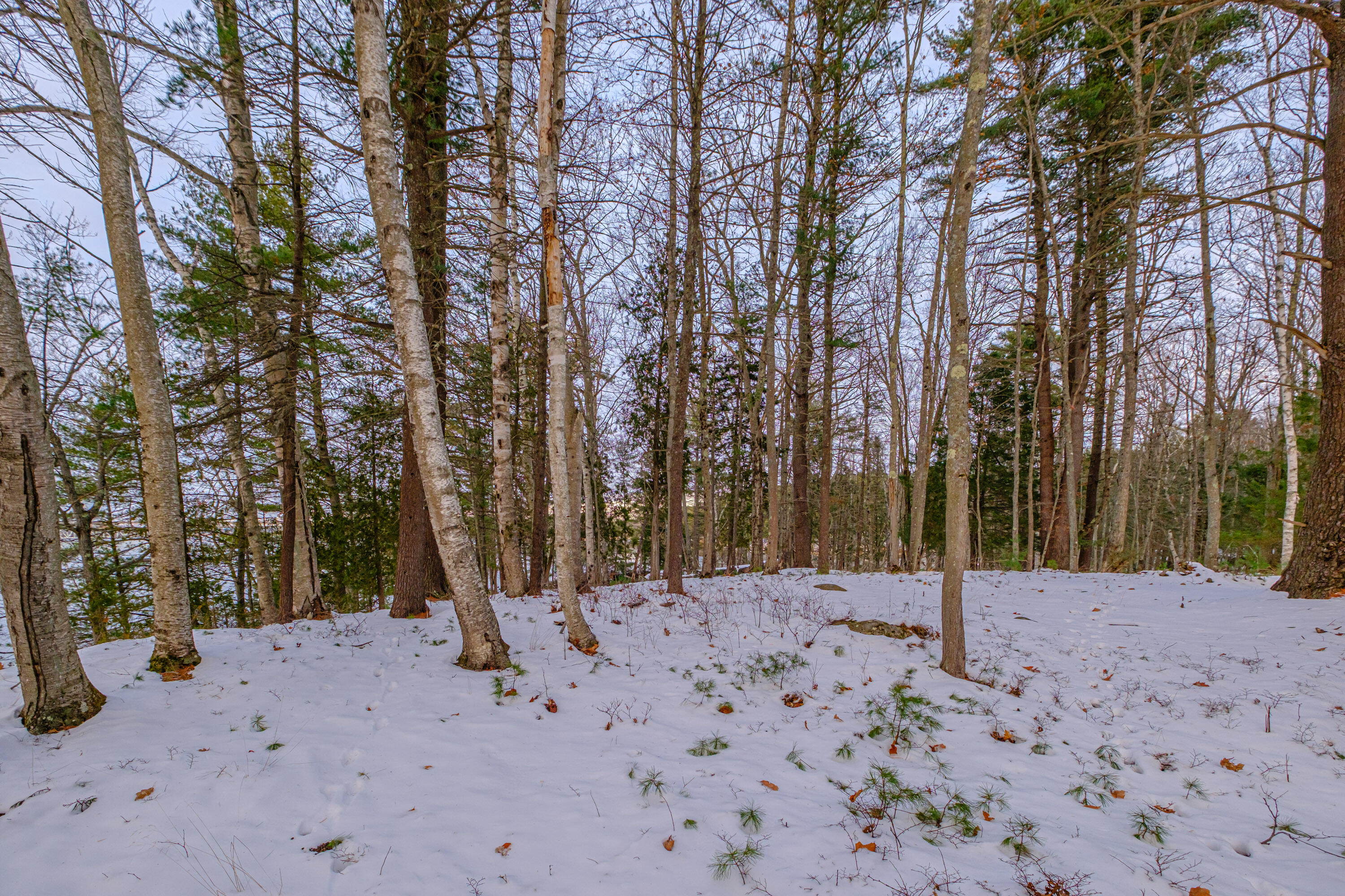 0 Field Road Bath, ME 04530 - Photo 19 of 36 20251209gp-62020