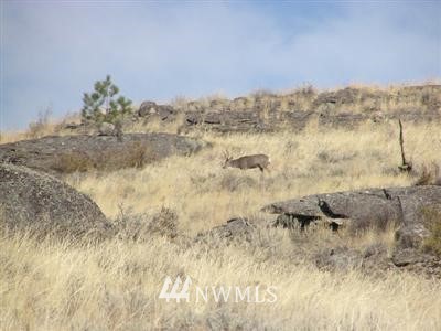 -tbd Tbd Antoine Valley Ranch Road Tonasket, WA 98855 - Photo 1 of 1 Gallery Image 1