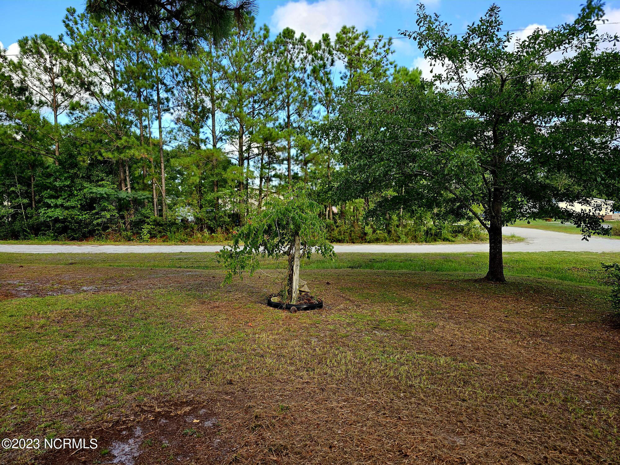 319 Holden Road Holly Ridge, NC 28445 - Photo 3 of 25 8