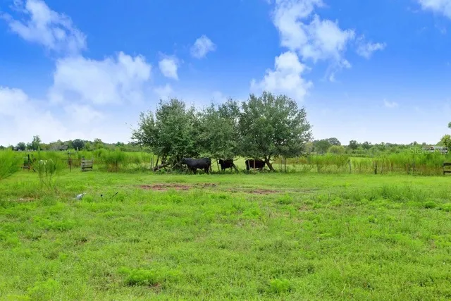 a view of grassy field with trees