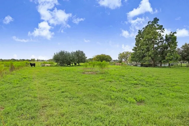 a backyard of a house with lots of green space