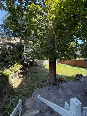 a street view with large trees