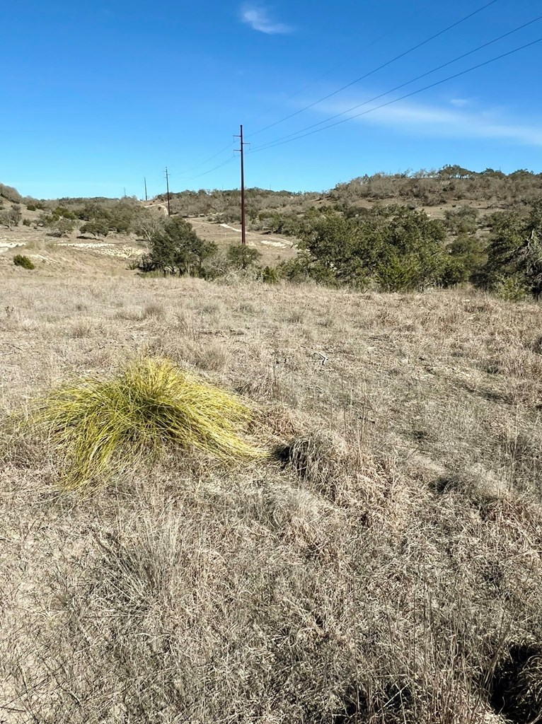 2985 Maenius Road, Unit 60 Blanco, TX 78606 - Photo 8 of 14