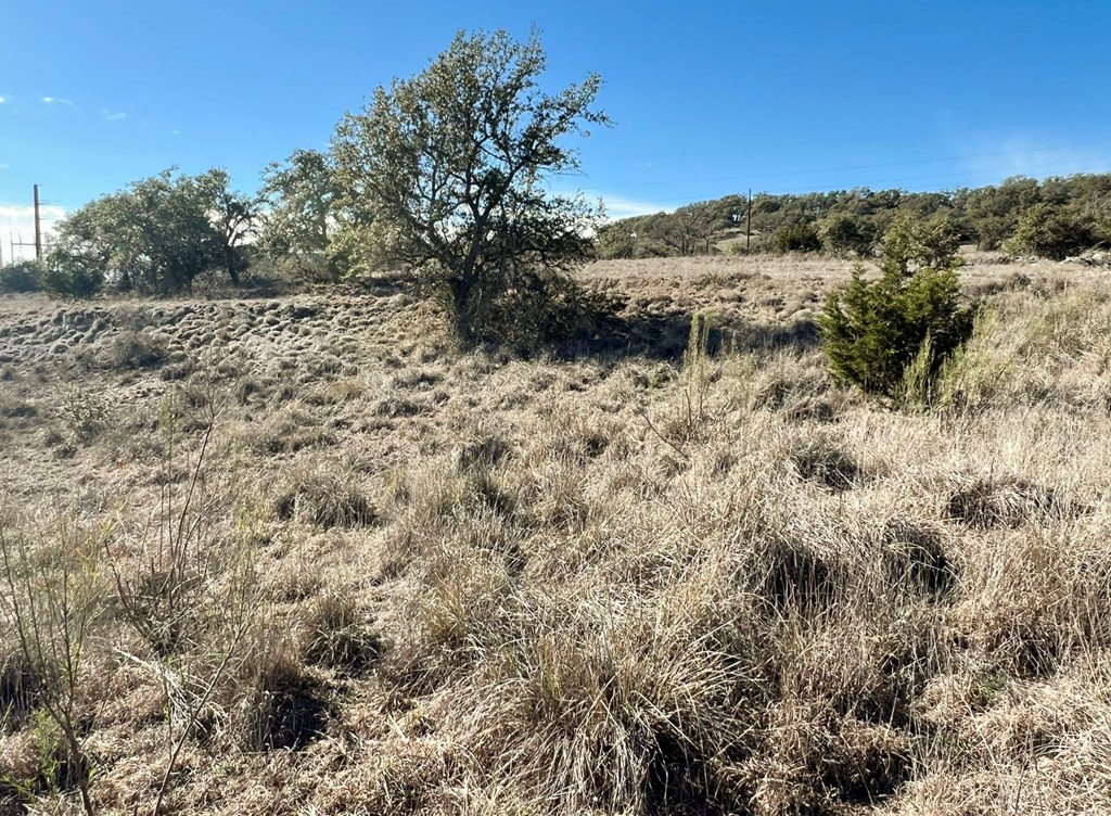 2985 Maenius Road, Unit 60 Blanco, TX 78606 - Photo 9 of 14 a view of a dry yard with mountains in the background