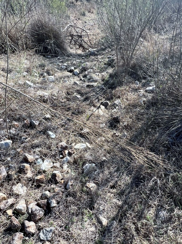 2985 Maenius Road, Unit 60 Blanco, TX 78606 - Photo 10 of 14 a view of a dry field