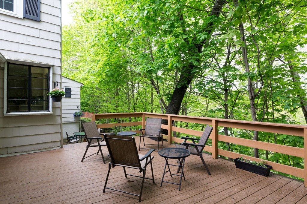 27 Palmer Road Newton, MA 02468 - Photo 12 of 12