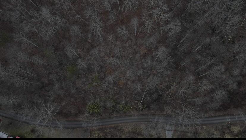 9999 Houston Broughton Road Flat Lick, KY 40935 - Photo 16 of 22 IMG_3457