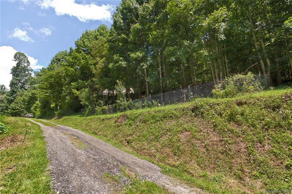 282 Fox Creek Road Mars Hill, NC 28754 - Photo 35 of 36 a view of a yard with plants and a trees