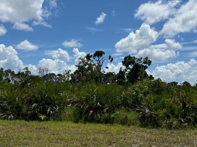 26 Brig Circle North Placida, FL 33946 - Photo 2 of 12 a view of a bunch of trees